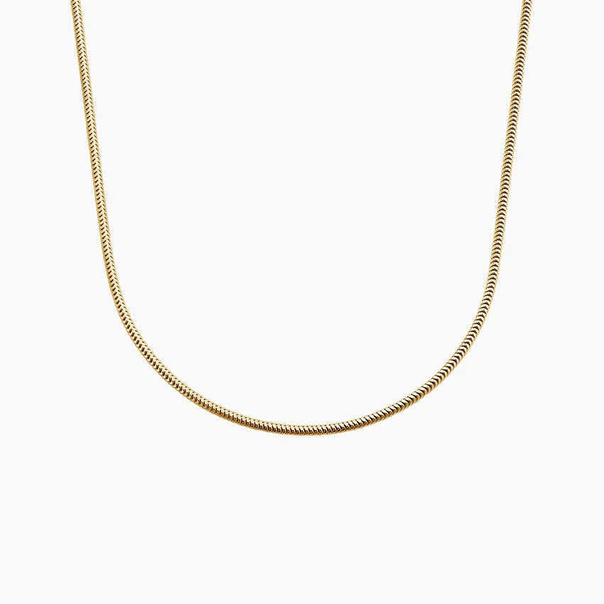 The Sleek Snake Chain